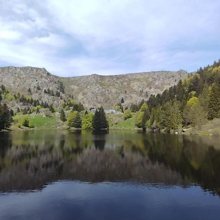 Aux Balcons De La Vallee Soultzeren Rom bilde