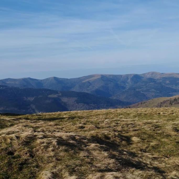 Aux Balcons De La Vallee Soultzeren Eksteriør bilde