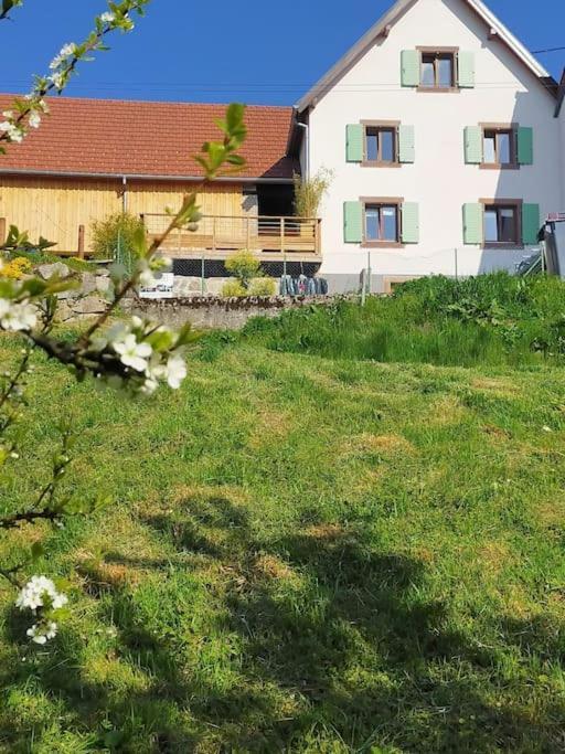 Aux Balcons De La Vallee Soultzeren Eksteriør bilde