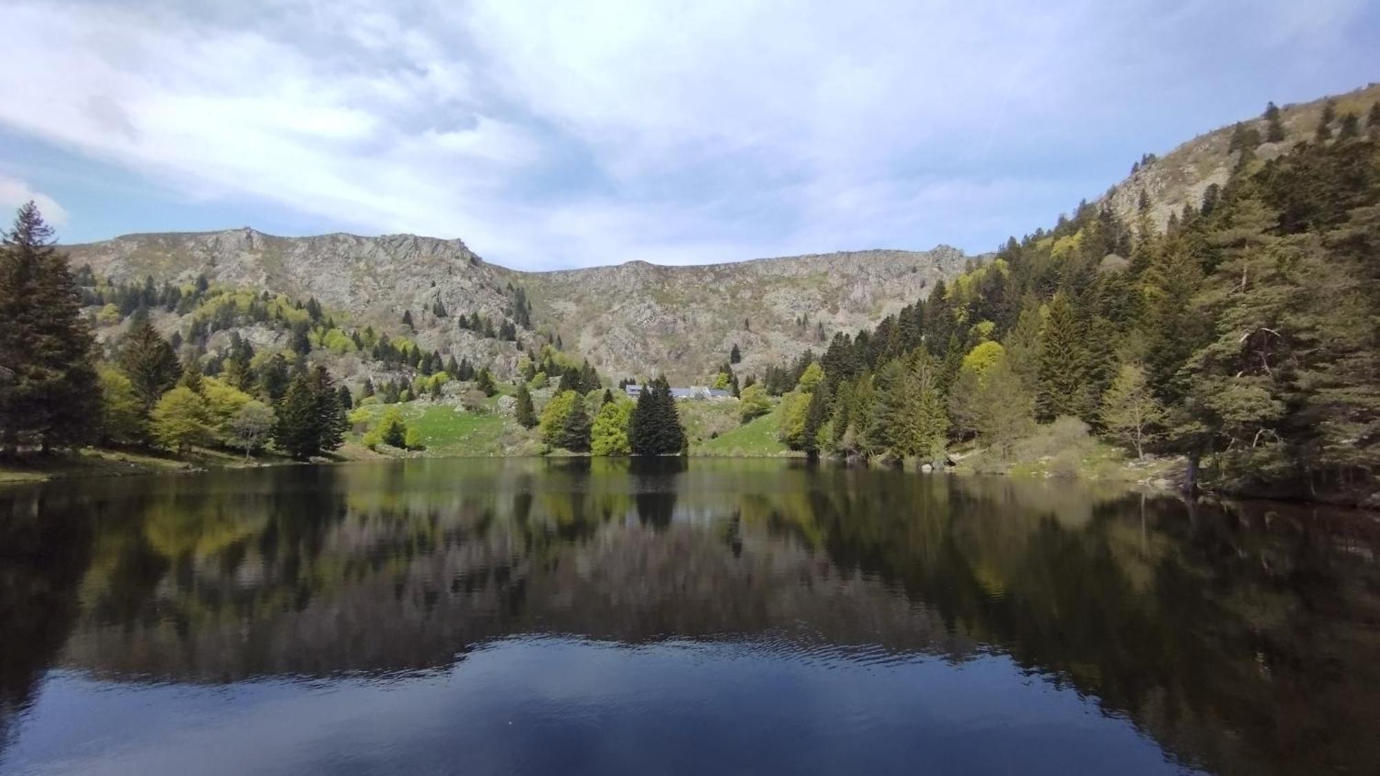 Aux Balcons De La Vallee Soultzeren Rom bilde